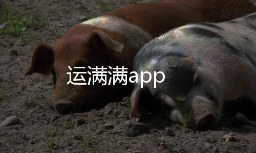 运满满app