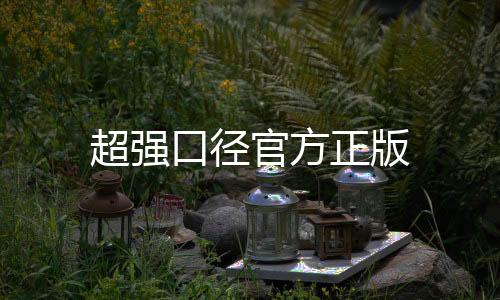 超强口径官方正版