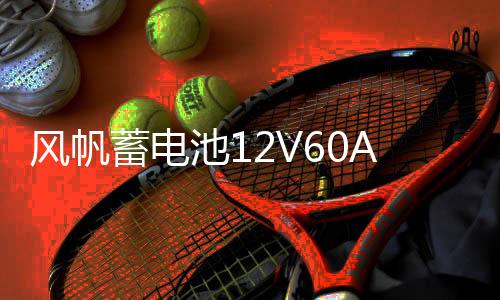 风帆蓄电池12V60AH标致301/308/307/408/508/3008/2008/汽车电瓶