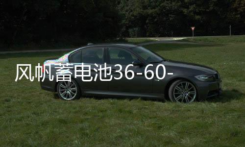 风帆蓄电池36-60-70-80-110AH原装汽车电瓶 各种车型北京上门安装