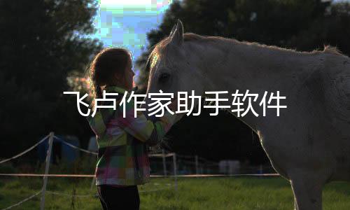 飞卢作家助手软件