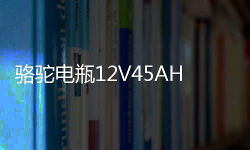 骆驼电瓶12V45AH适配长安面包车五菱宏光S轩逸思域十代汽车蓄电池