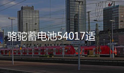骆驼蓄电池54017适用比亚迪F012V40AHF0适配电瓶专用配套汽车电瓶