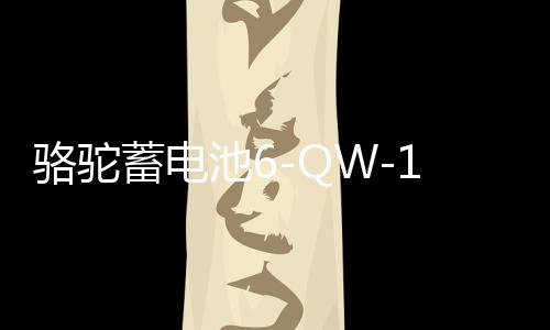 骆驼蓄电池6-QW-120-k适配依维柯货车农用车汽车电瓶 以旧换新