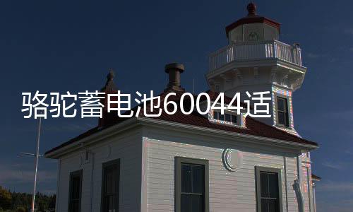 骆驼蓄电池60044适用路虎揽胜宝马7系奔驰S级12V100AH汽车电瓶