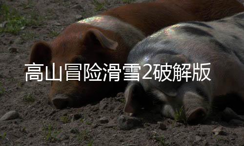 高山冒险滑雪2破解版