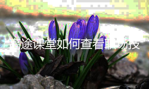 高途课堂如何查看职场技能?高途课堂查看职场技能方法