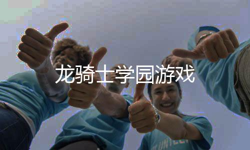 龙骑士学园游戏