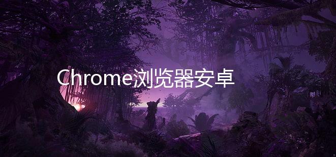 Chrome浏览器安卓版