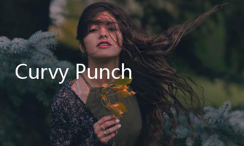 Curvy Punch 3D橡胶人拳击3D安卓版