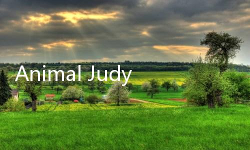 Animal Judy: Hamster care
