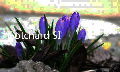 Gotchard SIM模拟器最新版更新黄金国驱动器