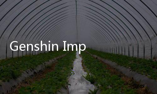 Genshin Impact原神游戏亚服安装包
