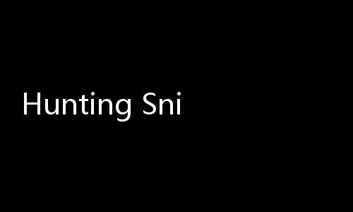 Hunting Sniper狩猎狙击手游戏