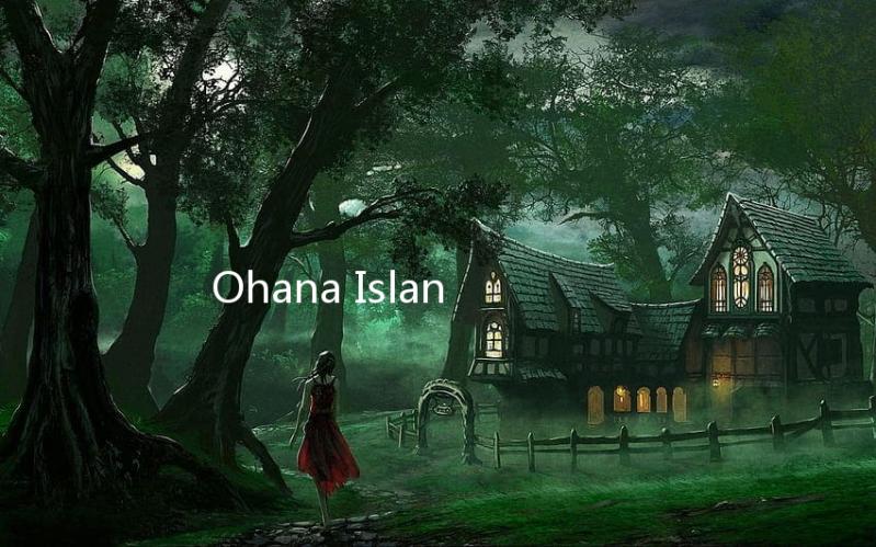 Ohana Island梦想花语安卓版