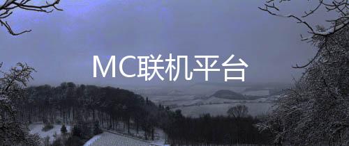 MC联机平台