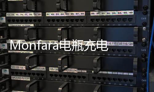 Monfara电瓶充电器12V24V专用汽车船用货车大功率充满自停纯铜