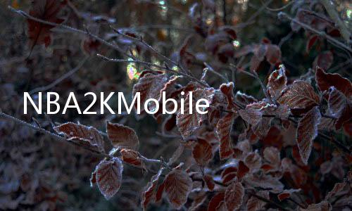 NBA2KMobile国际服安卓
