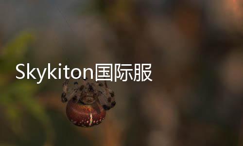 Skykiton国际服全物品版