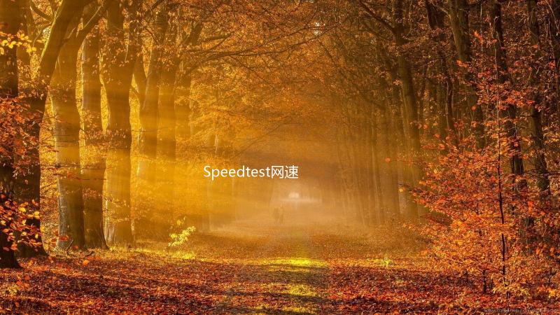Speedtest网速测试app