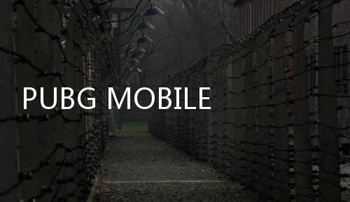 PUBG MOBILE越南服