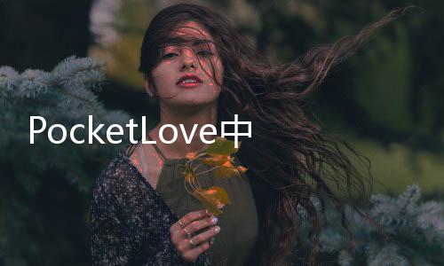 PocketLove中文破解版