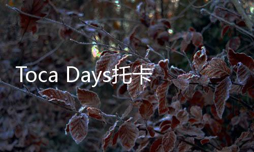 Toca Days托卡博卡日游戏