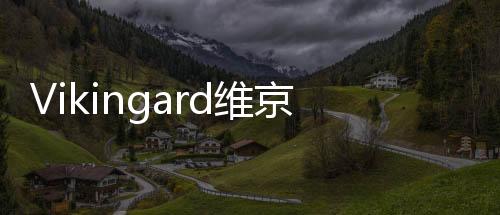 Vikingard维京之王手游国际服