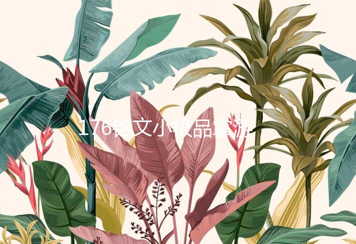 176铭文小极品掌游